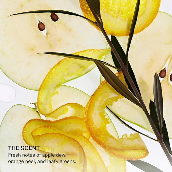 SEEN Shampoo Fragrance Free NonComedogenic SulfateFree Hair Shampoo DermatologistDeveloped Safe for Sensitive Eczema Acne Prone Skin