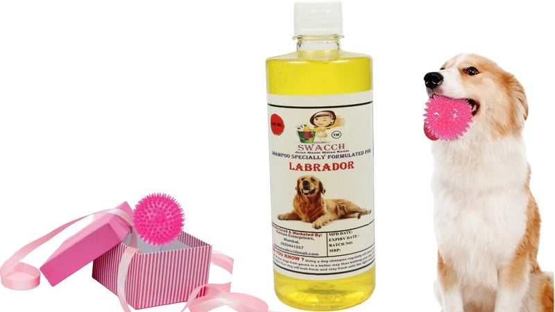 swacch Shampoo | Puppy Safe Shampoo | PH Balanced | Ditch to Itch for Labrador Dog Shampoo 500ml (Lemon) + Spike Ball Chew Toy Combo Pack - Image 1