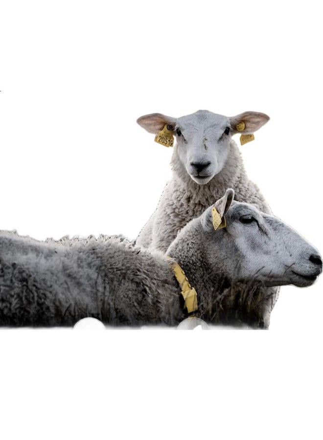 FIRS Shanshan Long-Sleeve Wool-Blend Shirt, Thickened For Autumn And Winter, Brushed For Warmth, Far-Infrared, Soft, Solid Color, Men'S Shirt - Image 3