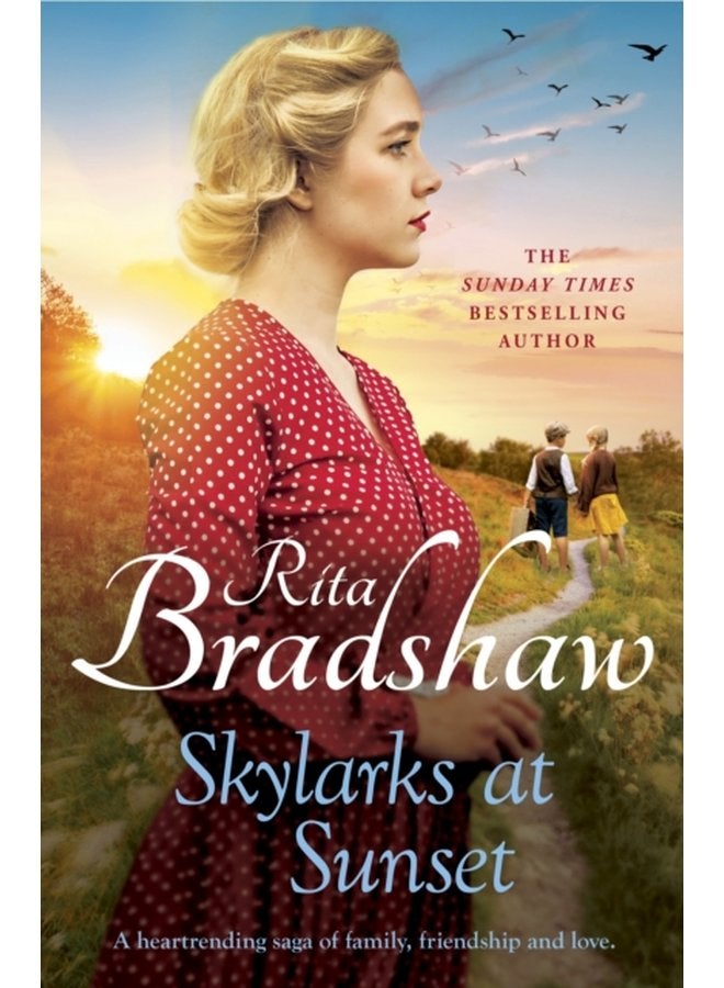Skylarks At Sunset An unforgettable saga of love family and hope - Paperback
