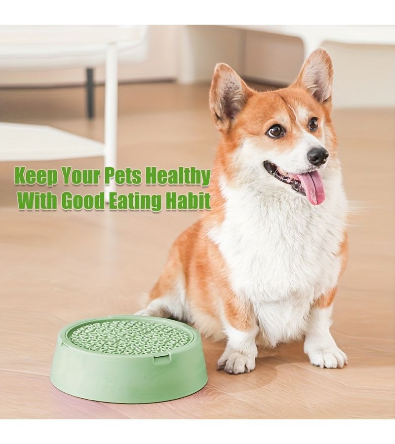 2 In 1 Slow Feeder Bowl for Dogs And Cats Green Color Two Section Food And Water Dish Promotes Healthy Eating Habits Improves Digestion Reduces Eating Speed Prevents Choking And Gulping - Image 1