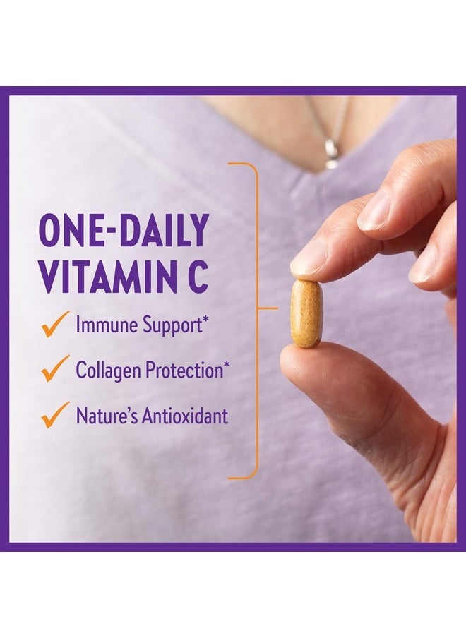 New Chapter - Fermented Vitamin C + Elderberry, ONE Daily for Immune Support & Collagen Protection, Made with Organic Herbs, Certified Vegan, Gluten Free, 60 Count - Image 1