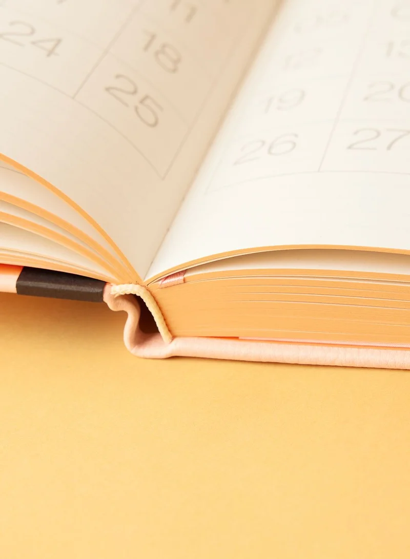 Typo Pink 2024 Daily Planner Mickey