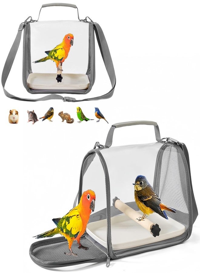 KINGVELLY Portable Small Bird Travel Cage Carrier, A Convenient Go Out Solution for Various Birds and Lizard, Featuring a Standing Perch and Comfortable Mat (with Tray). - Image 1