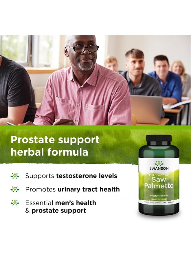 SWANSON Saw Palmetto - Herbal Supplement Promoting Male Prostate Health Support - Natural Hair Supplement & Urinary Health Support (540 mg 250 Capsules) 2 Pack - Image 3
