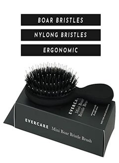 R Bristle Brush By Everlong Hair, Boar & Nylon Bristles Adds Shine & Promote Hair Growth, Scalp Massage & Detangling, Safe For All Hair Types Extensions & Wigs, W/ Matte Black Ergonomic Handle - pzsku/ZB29659837ECE764FF904Z/45/_/1647802939/337e38a9-2fab-4b3f-9548-5a343c07ca63