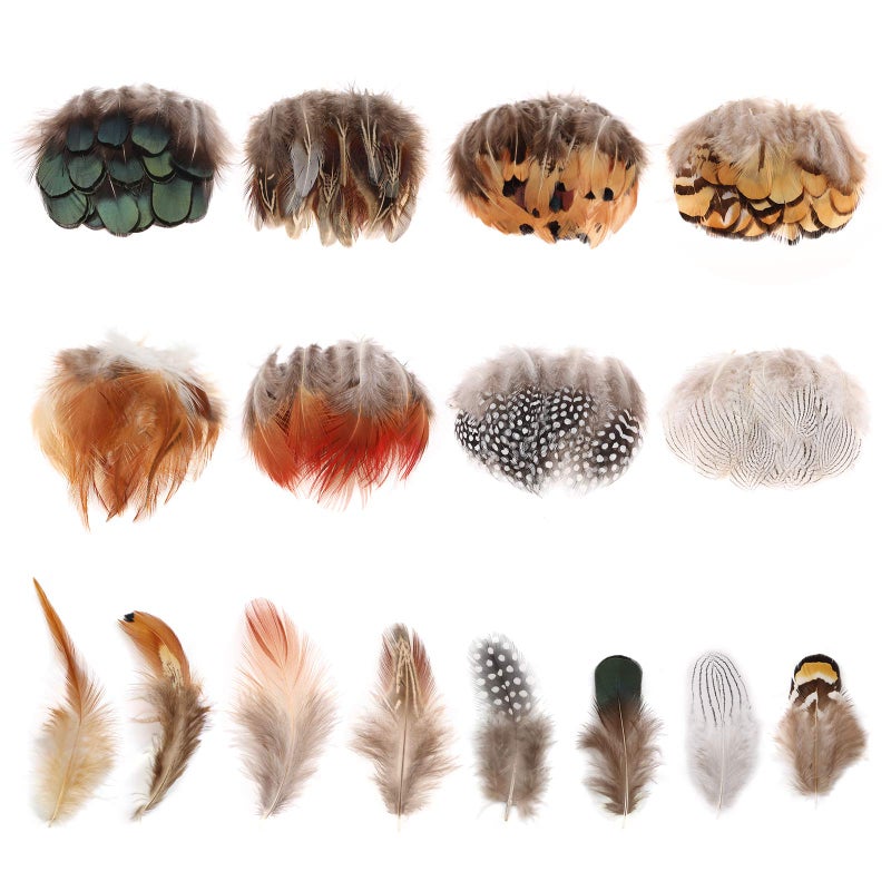 MWOOT 8 Styles Assorted Craft Feathers 160Pcs Natural Chicken Feathers for DIY Earring Wings Dream Catcher Crafts Activities Project Wedding Party Home Decoration