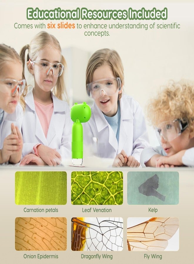 Hayve Handheld Digital Microscope for Kids 1000X,16MP Portable Pocket Microscope with 2inch IPS Screen,1080P Coin Magnifier for Collectors with 8 LEDs, PC View, 8GB - Image 4