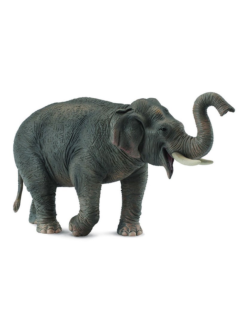 Collecta - Asian Elephant - 88486