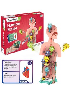 Smartivity Smartivity Human Body Toy for Kids 6-12 Years | Body Organs & Functions | Best Birthday Gift for Boys & Girls | DIY STEM Educational Science Project Model for Kids 6,7,8,9,10,11,12 Years Old  - Image 1