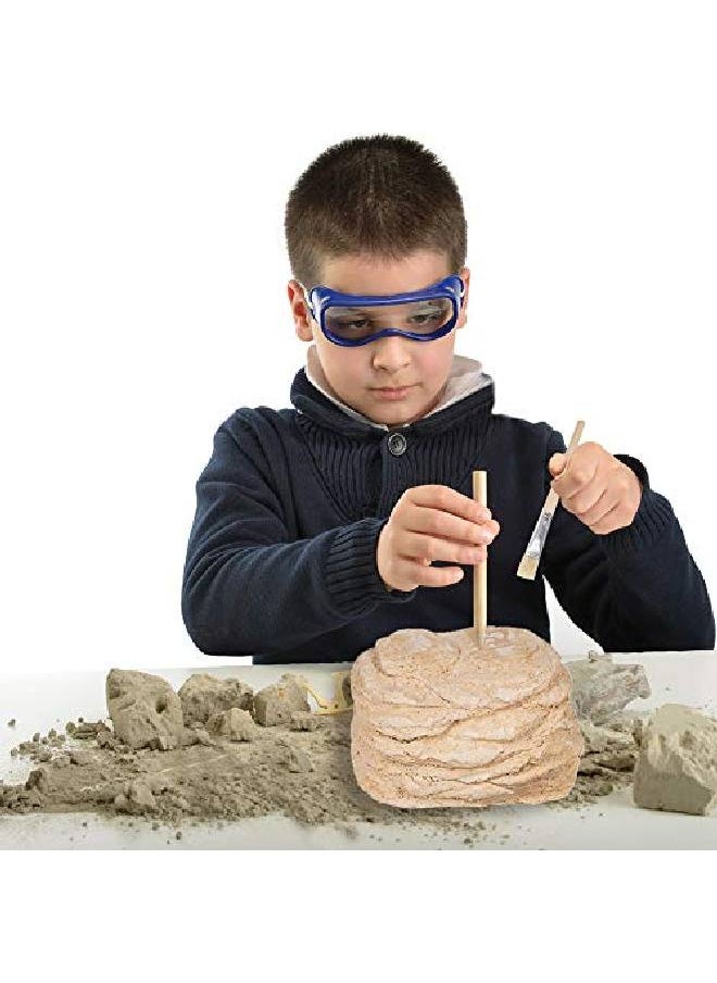 ArtCreativity - Dinosaur Excavation Kit For Kids 5.5? Stegosaurus Skull Excavating Set With Fossil Digging Tools And Stand Fun Science Activity Toy Educational Dinosaur Gift For Boys And Girls - Image 1