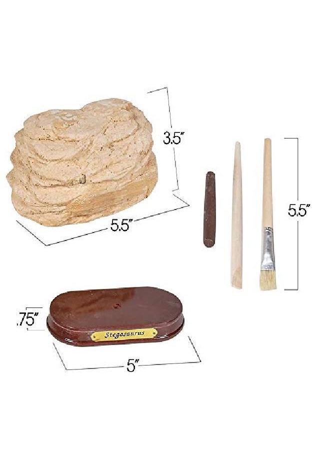 ArtCreativity - Dinosaur Excavation Kit For Kids 5.5? Stegosaurus Skull Excavating Set With Fossil Digging Tools And Stand Fun Science Activity Toy Educational Dinosaur Gift For Boys And Girls - Image 1