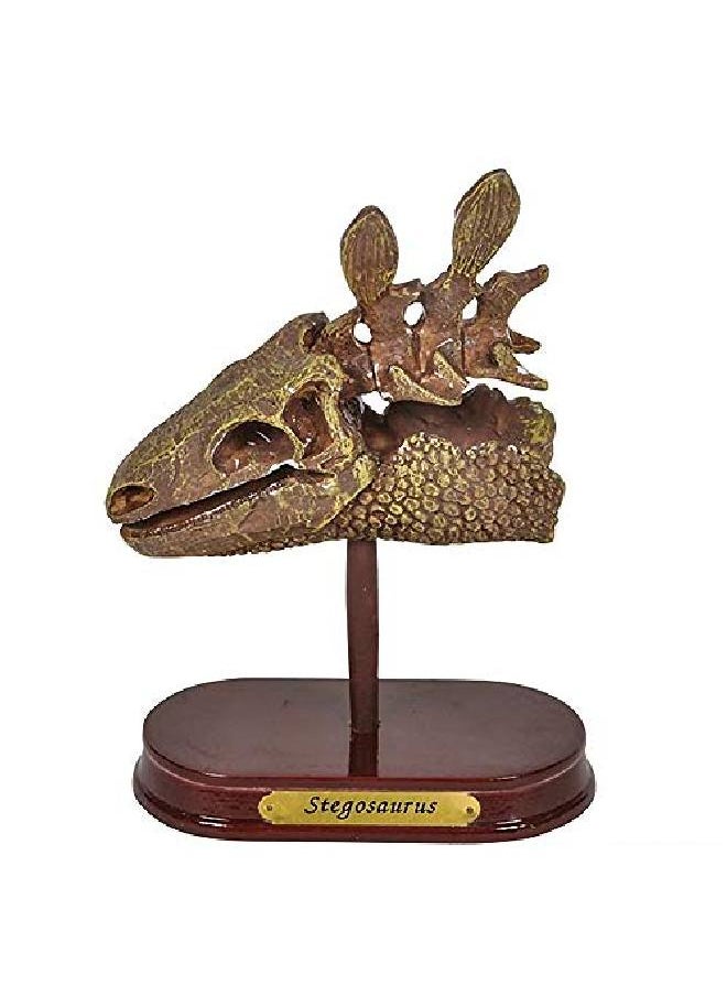ArtCreativity - Dinosaur Excavation Kit For Kids 5.5? Stegosaurus Skull Excavating Set With Fossil Digging Tools And Stand Fun Science Activity Toy Educational Dinosaur Gift For Boys And Girls - Image 1