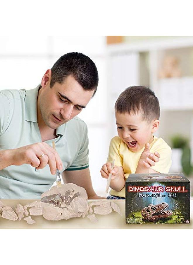 ArtCreativity - Dinosaur Excavation Kit For Kids 5.5? Stegosaurus Skull Excavating Set With Fossil Digging Tools And Stand Fun Science Activity Toy Educational Dinosaur Gift For Boys And Girls - Image 1