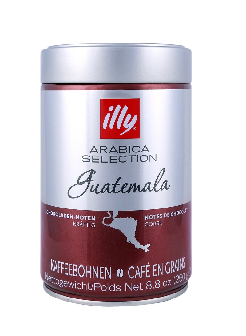 Illy Arabica Selection Guatemala Whole Bean Coffee 250g - Image 2
