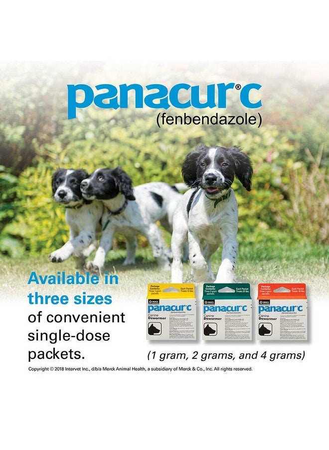 Panacur Panacur C Canine Dewormer (Fenbendazole), 1 Gram, Yellow, 3 Count (Pack of 1)  - Image 4