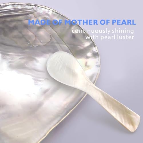 ThougrLyh Caviar Spoon 5pcs Mother of Pearl Spoons for Caviar Ice Cream Sauce 3.54 Inches Shell Spoon - Image 2