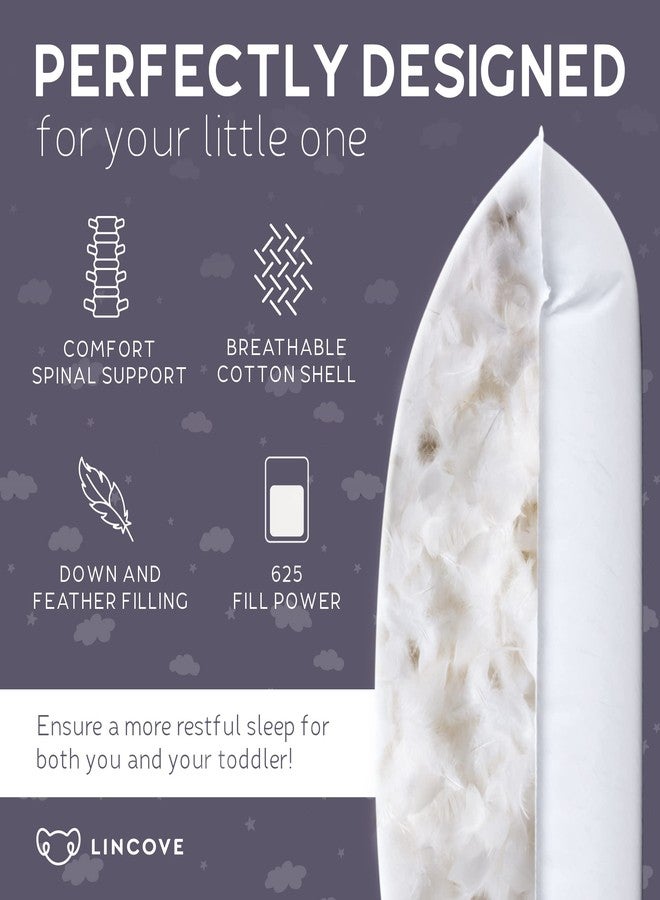 Lincove Canadian Down Toddler Pillow for Sleeping - Perfect for Kids Travel Pillow, Nap Time, Toddler Cot, Crib, Bed - 800 Fill Power, 100% Cotton Shell, 400 Thread Count (13 x 18) - Image 2