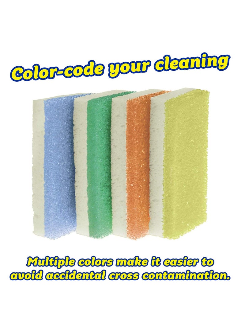 Scrub Daddy مجموعة من 4 إسفنجات مدهشة مزدوجة الجوانب بالإضافة إلى إسفنجة متنوعة - Image 2