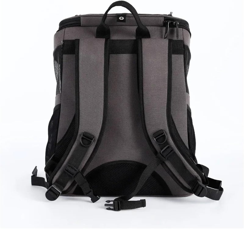 Large Pet Backpack Portable Space Capsule Breathable Window Cat Carrier Dog Bag Pets Products Accessories Travel Bags(Gold) - Image 5