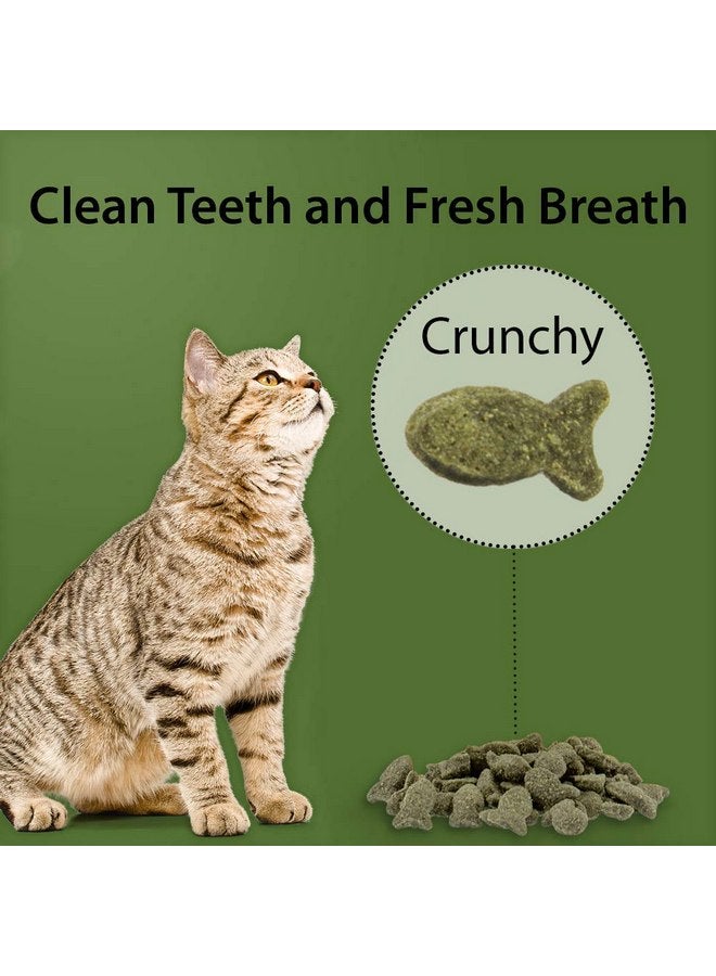 إميرالد بيت عبوة من 6 قطع من مكافآت الأسنان للقطط من عشبة النعناع البري من إيميرالد بت، 3 أونصات لكل قطعة، مكافآت قطط خالية من الحبوب، صُنعت في الولايات المتحدة الأمريكية - Image 4