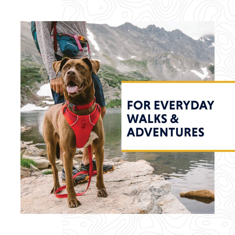 Ruffwear, Front Range Dog Collar, Adjustable Tubelok Webbing, Lightweight, Side Release Buckle, Aluminum V-Ring, Durable for Everyday Use, Twilight Grey, 14"-20" - Image 3