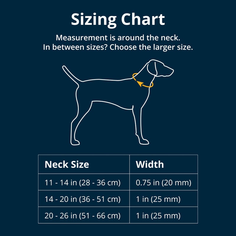 Ruffwear, Front Range Dog Collar, Adjustable Tubelok Webbing, Lightweight, Side Release Buckle, Aluminum V-Ring, Durable for Everyday Use, Twilight Grey, 14"-20" - Image 2