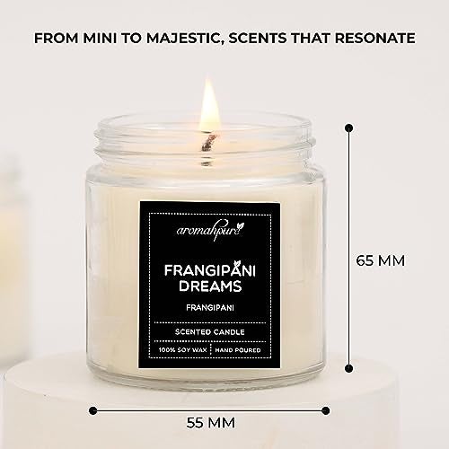 Aromahpure Scented Candles (55 Hours) (100% Soy Wax)- Handcrafted | Smoke-Free | Charming Rose- Bulgarian Rose, Frangipani Dream- Frangipani Fragrance Candles for Home & Gift Sets, IFRA Certified - Image 2