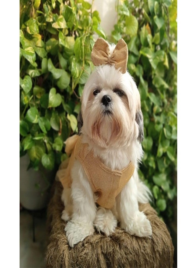 Lulala Dog Dress for Girls Dogs and Cats - Golden Glitter Party Gown with Tulle Skirt, Bow and Headband | Fancy Pet Dress for Weddings, Birthdays, Photoshoots and Special Occasions - Image 2