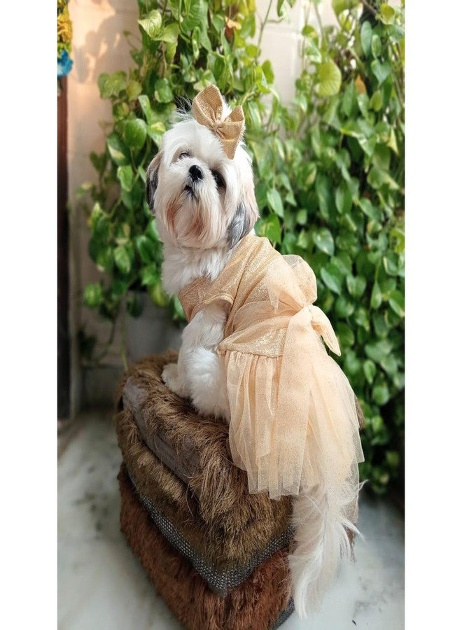 Lulala Dog Dress for Girls Dogs and Cats - Golden Glitter Party Gown with Tulle Skirt, Bow and Headband | Fancy Pet Dress for Weddings, Birthdays, Photoshoots and Special Occasions - Image 5