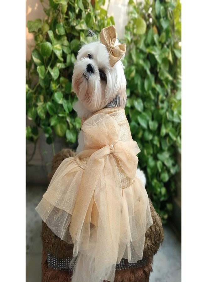 Lulala Dog Dress for Girls Dogs and Cats - Golden Glitter Party Gown with Tulle Skirt, Bow and Headband | Fancy Pet Dress for Weddings, Birthdays, Photoshoots and Special Occasions - Image 1