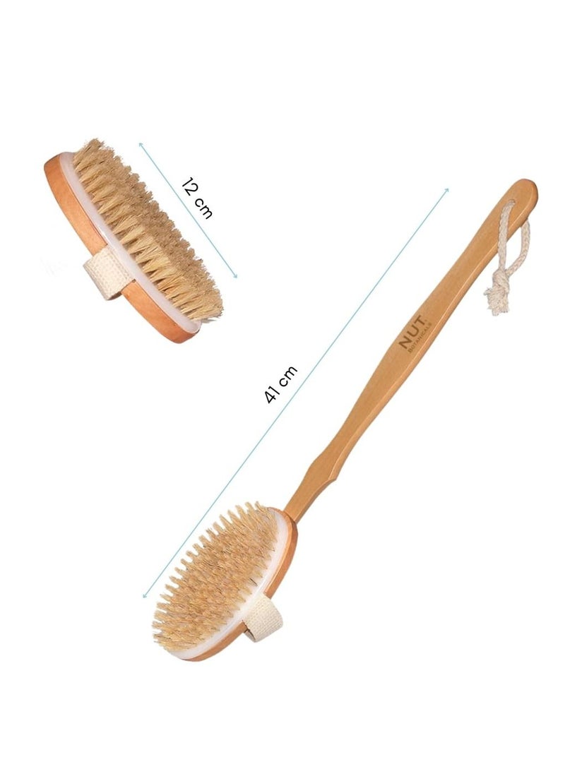 NUT BOTANICALS - Premium Exfoliating Dry Brush - Image 1