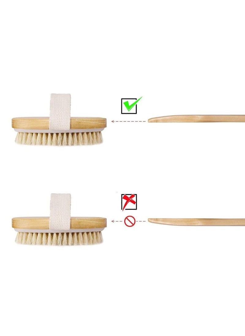 NUT BOTANICALS - Premium Exfoliating Dry Brush - Image 1