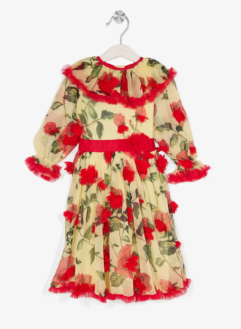 Little Golden Apple Little Floral Chiffon Dress