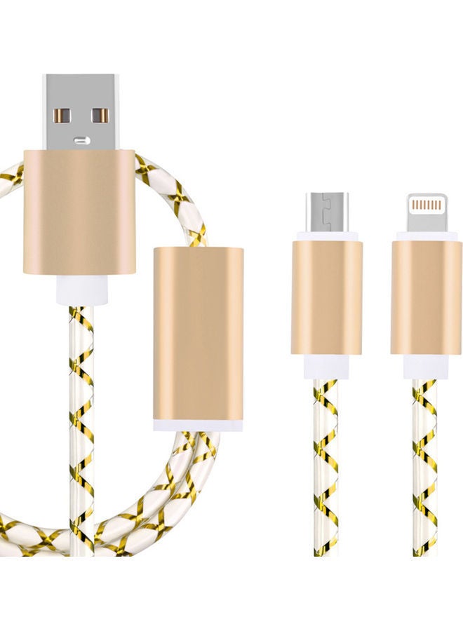 NIBEMINENT Two-In-One USB Cable for iPhone and Android Gold/White - Image 1