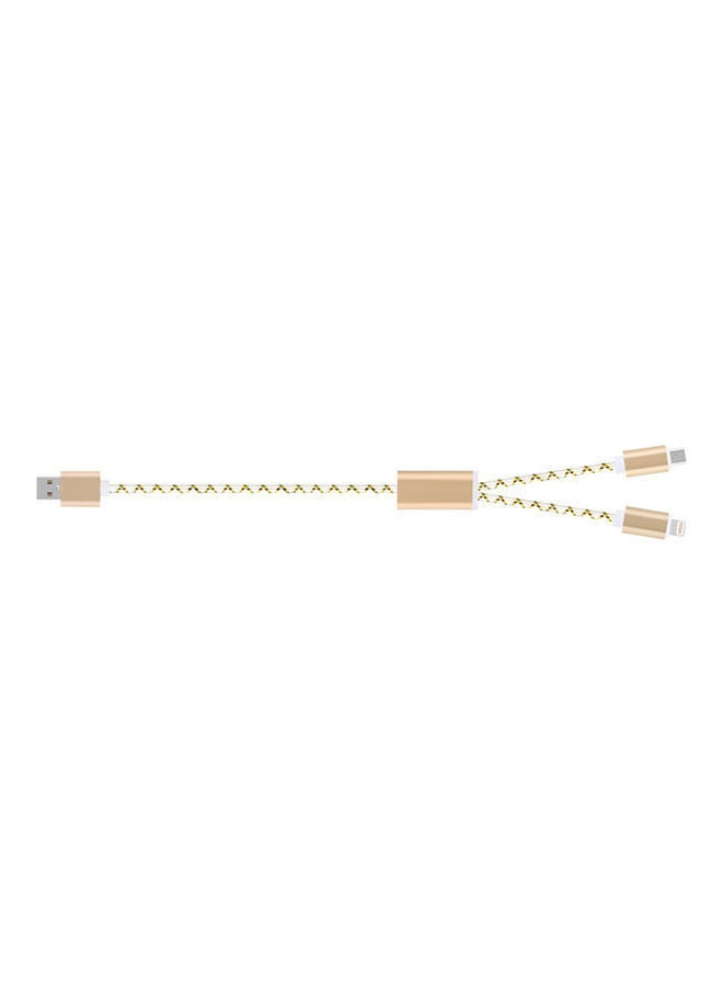 NIBEMINENT Two-In-One USB Cable for iPhone and Android Gold/White - Image 2
