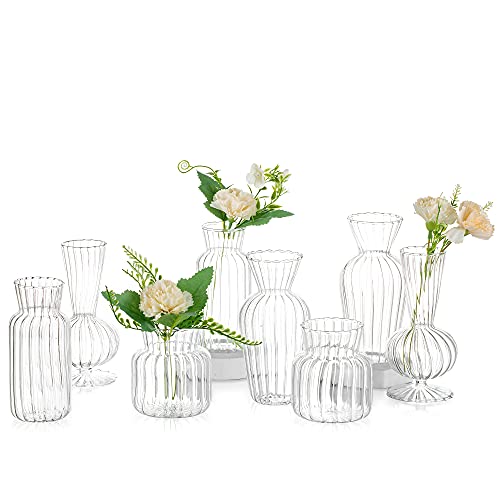 Glasseam Modern Clear Glass Bud Vase Set Glasseam 8Pcs Small Mini Flower Centerpieces Vases Handmade Decorative Cute Short Window Home Decor for Wedding Reception Dining Table Single Rose