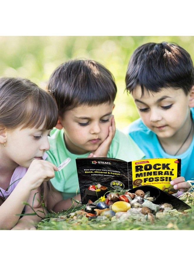 XX - Rocks Minerals & Fossils Collection For Kids 250+ Real Gemstones And Crystals Rock Identification Kit Includes Display Case Genuine Fossils Geodes Great Geology Science Gift For Boys & Girls - Image 1