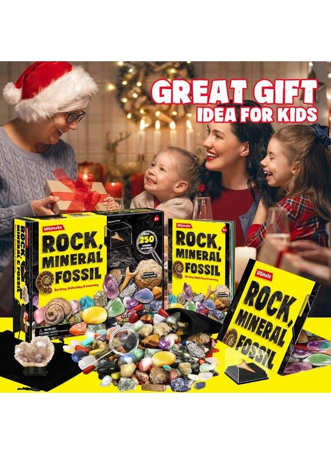 XX - Rocks Minerals & Fossils Collection For Kids 250+ Real Gemstones And Crystals Rock Identification Kit Includes Display Case Genuine Fossils Geodes Great Geology Science Gift For Boys & Girls - Image 1