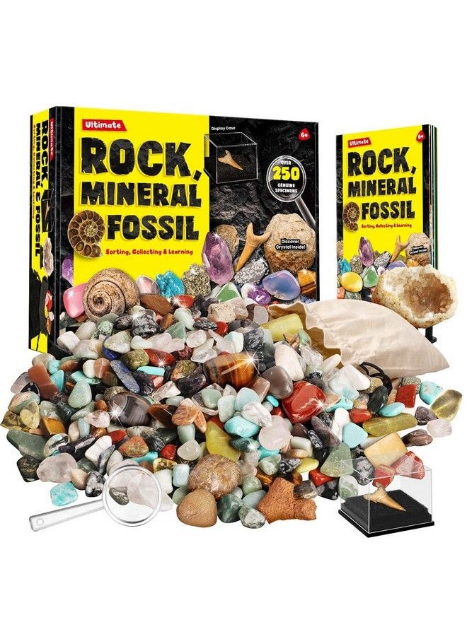XX - Rocks Minerals & Fossils Collection For Kids 250+ Real Gemstones And Crystals Rock Identification Kit Includes Display Case Genuine Fossils Geodes Great Geology Science Gift For Boys & Girls - Image 1