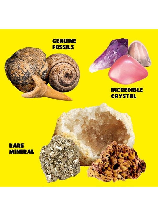 XX - Rocks Minerals & Fossils Collection For Kids 250+ Real Gemstones And Crystals Rock Identification Kit Includes Display Case Genuine Fossils Geodes Great Geology Science Gift For Boys & Girls - Image 1