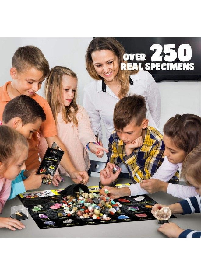 XX - Rocks Minerals & Fossils Collection For Kids 250+ Real Gemstones And Crystals Rock Identification Kit Includes Display Case Genuine Fossils Geodes Great Geology Science Gift For Boys & Girls - Image 1