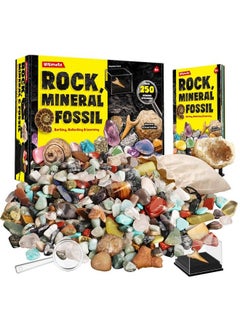 Rocks Minerals & Fossils Collection For Kids 250+ Real Gemstones And Crystals Rock Identification Kit Includes Display Case Genuine Fossils Geodes Great Geology Science Gift For Boys & Girls
