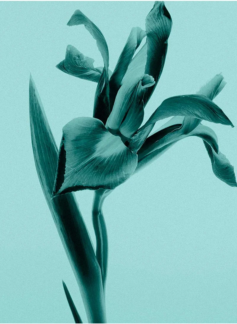 Tiffany & Co. Tiffany Signature Eau De Parfum 50ml