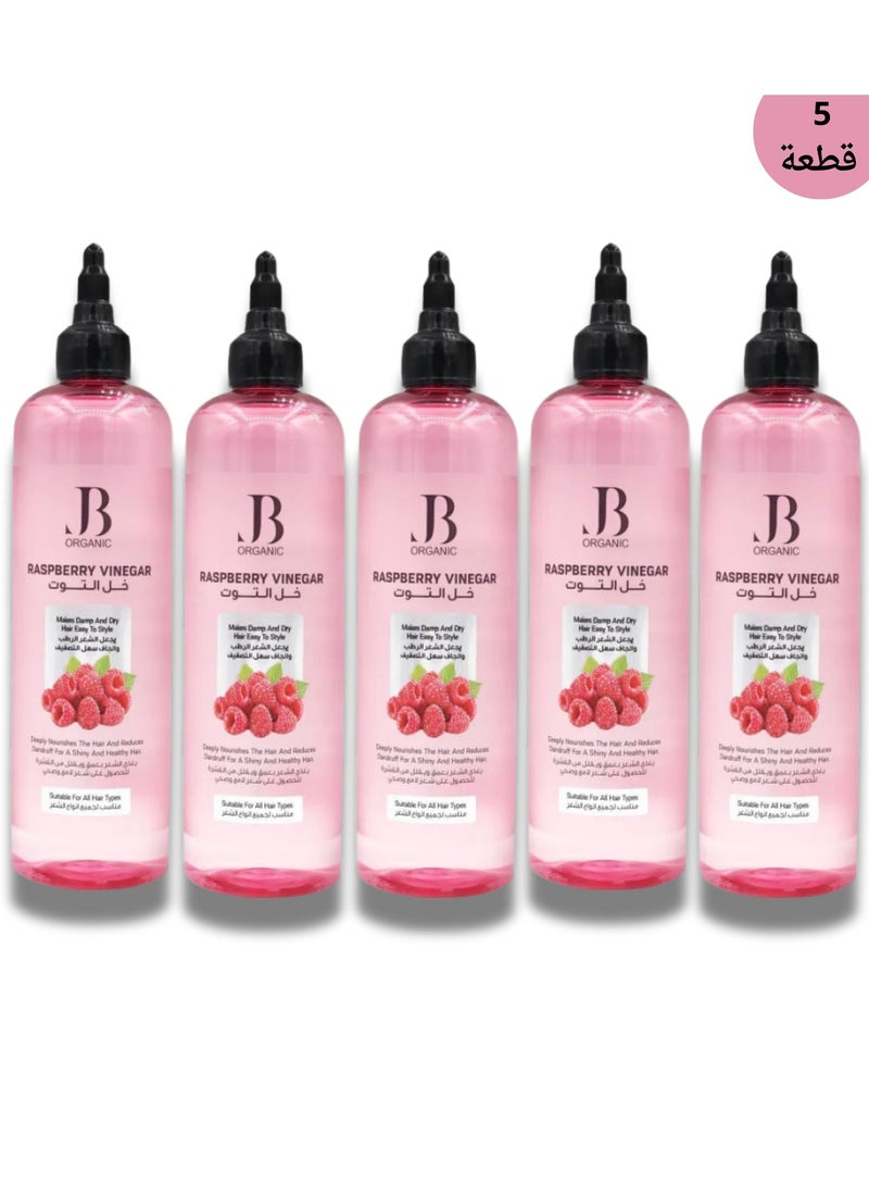 JB ORGANIC Berry Vinegar Hair Strengthening Tonic, 5*400 ml (5PCS) - Image 1