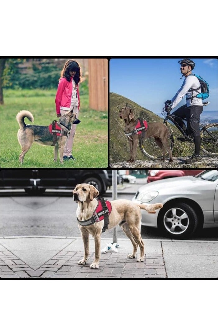 Dog Harness – No-Pull, Reflective, Adjustable Vest with Handle – Multiple Colors - Image 1