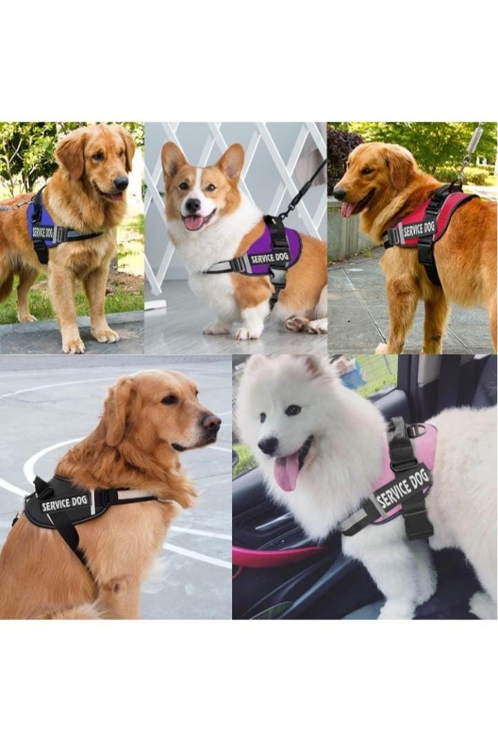 Dog Harness – No-Pull, Reflective, Adjustable Vest with Handle – Multiple Colors - Image 5