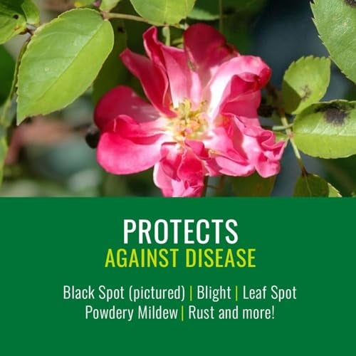 BioAdvanced NATRIA Rose and Flower Insect, Disease and Mite Control, Ready-to-Use, 24 oz - Image 3