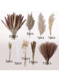 Generic 80 Pcs Dried Pampas Grass Dried Flowers Of Small Reeds Boho Natural Flowers Arrangements White Reed Bunny Tails for Home Decor Flower Living Room Balcony Wedding Party 