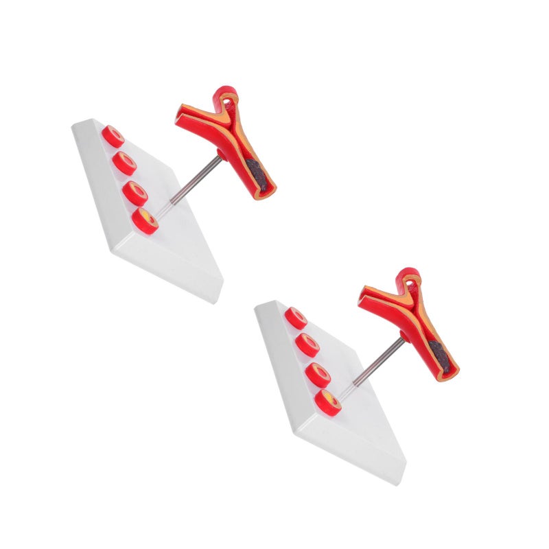 2pcs Vessel Model - Cardiovascular Model For Education Display Tool Anatomy Supplies - Image 1